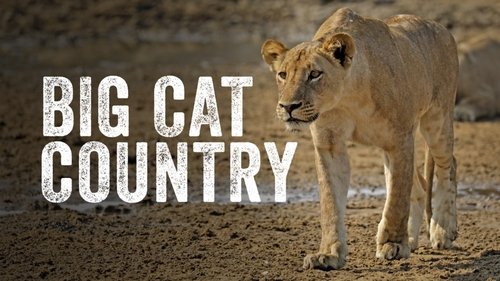 Big Cat Country