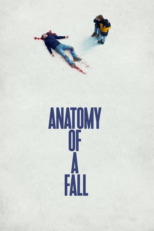 Anatomy of a Fall poster