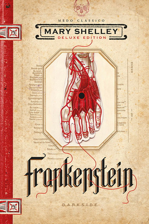 O Espelho de Frankenstein