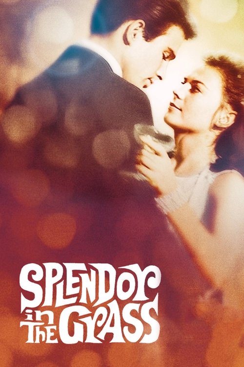 Splendor in the Grass poster