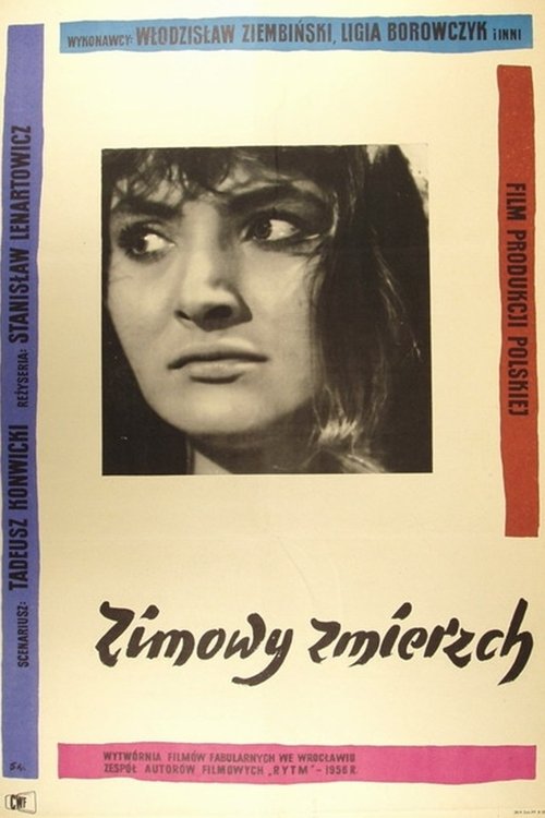 Zimowy zmierzch movie poster player