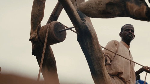 Guardian of the Well