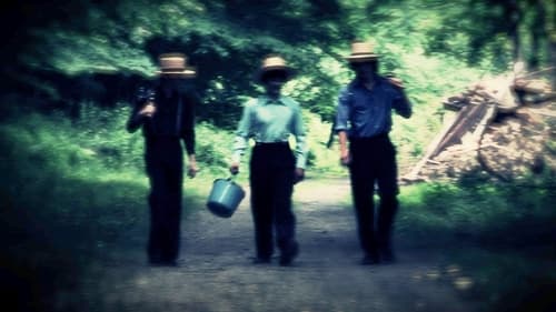 Poster della serie Sins of the Amish