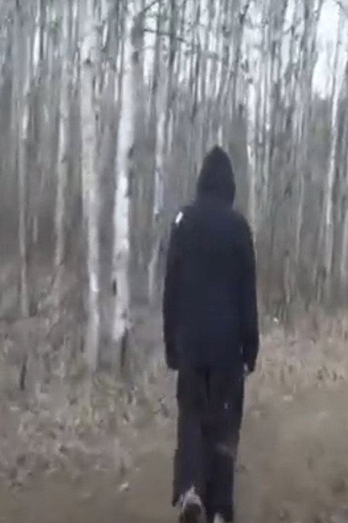 A Sudden Interest In Nature