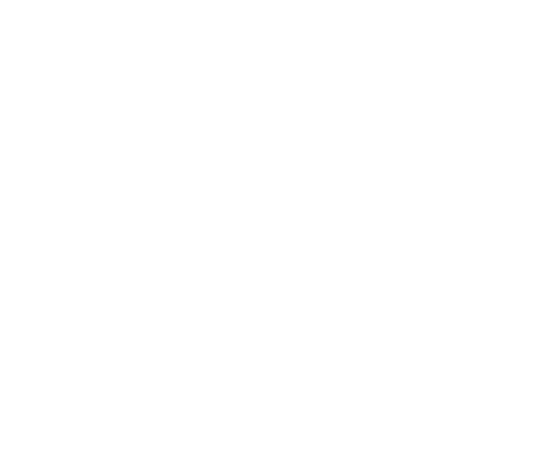 The Wrong Guys