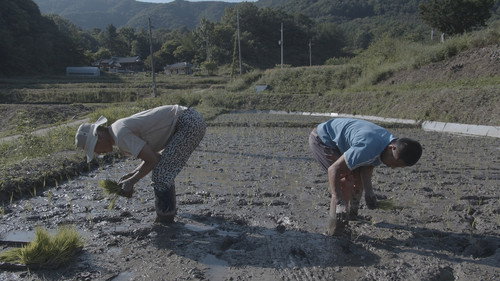 Nata the great peng geunyoung