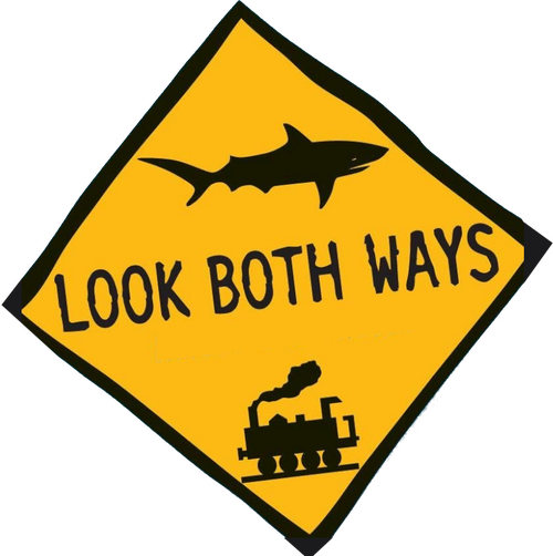 Look Both Ways