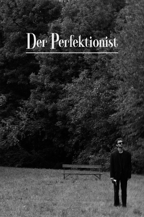 The Perfectionist