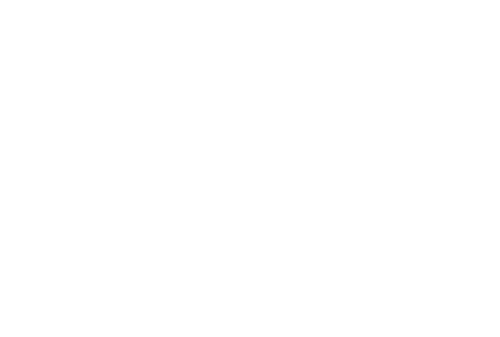 Loco y Estúpido Amor