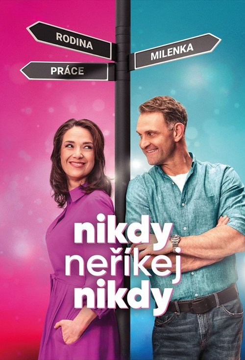 Never Say Never poster