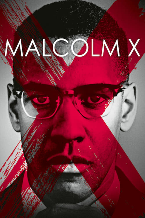 Grootschalige poster van Malcolm X