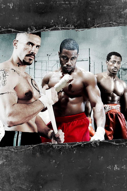 Pòster de Undisputed Collection