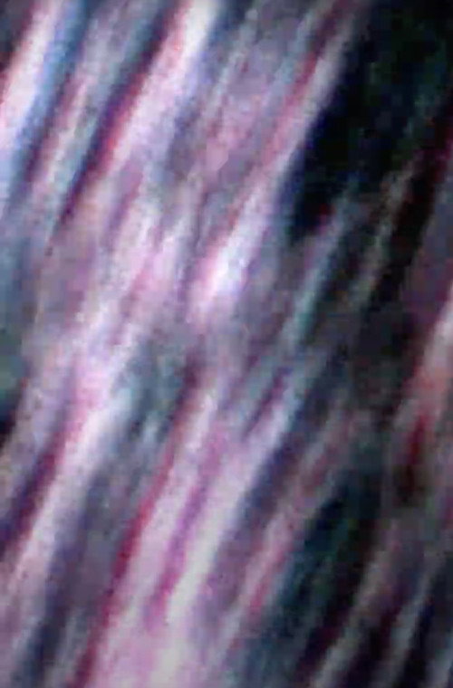 all life, everywhere