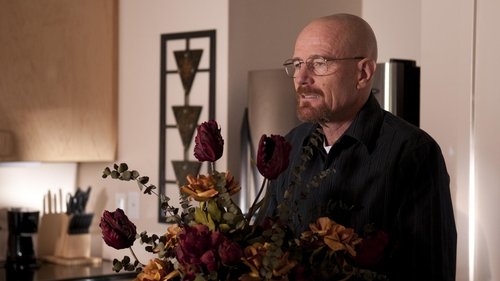 Assistir Breaking Bad S03E07 – 3×07 – Legendado Assistir Breaking Bad S03E07 – 3×07 – Legendado