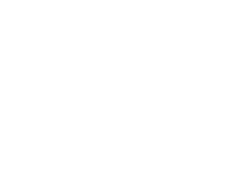 Black Bear
