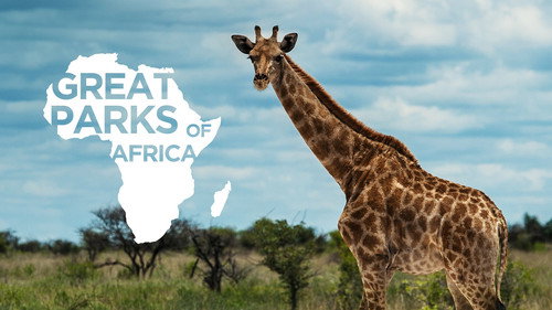 Great Parks of Africa Backdrop Blur