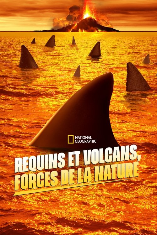 Requins et volcans, forces de la nature Poster