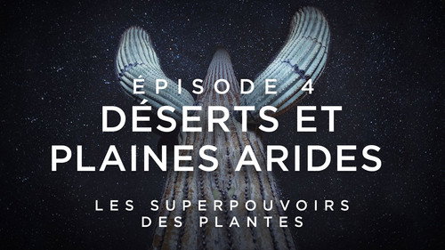 Image Déserts et plaines arides