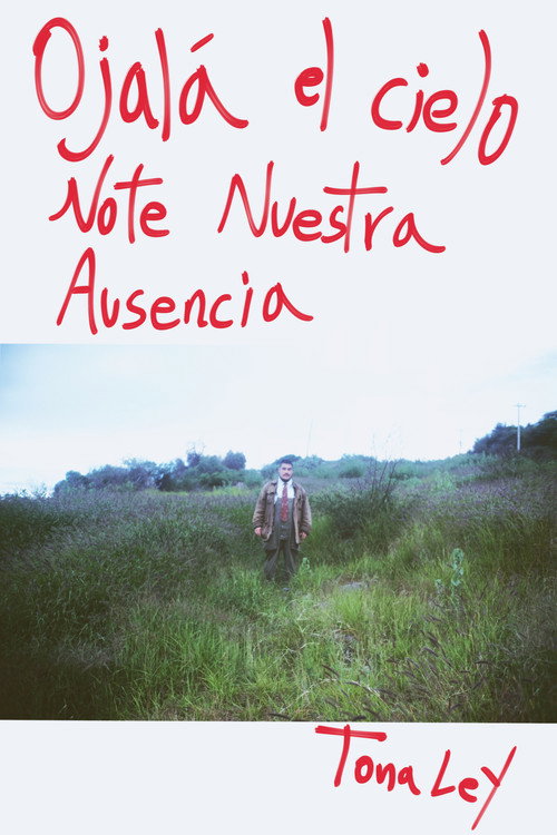 Poemas de la Poetic Shit #33 — Guillaume dime que hacer
