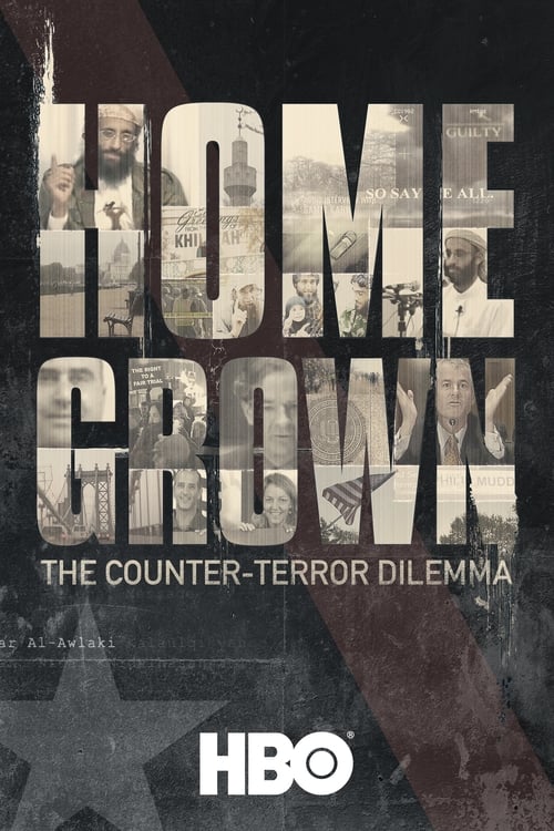 Largescale poster for Homegrown: The Counter-Terror Dilemma