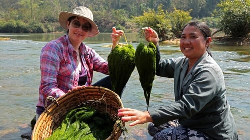 Poster della serie The Mekong River with Sue Perkins