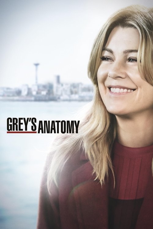 Grey’s Anatomy: 15×13
