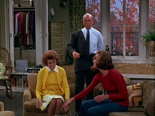 Poster della serie The Mary Tyler Moore Show