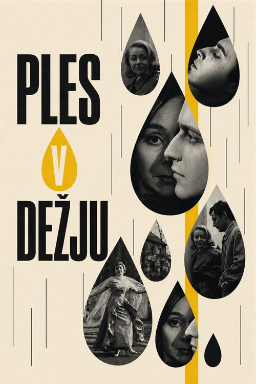 Dancing in the Rain poster