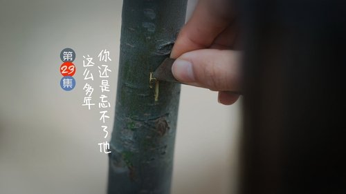 Image de l'épisode 23