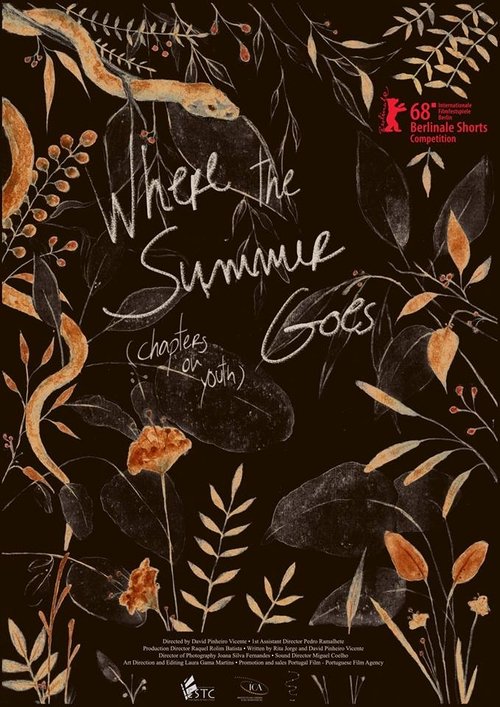 Where the Summer Goes (Chapters on Youth) 2018