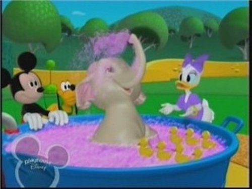 Image de l'épisode Un animal pour Daisy