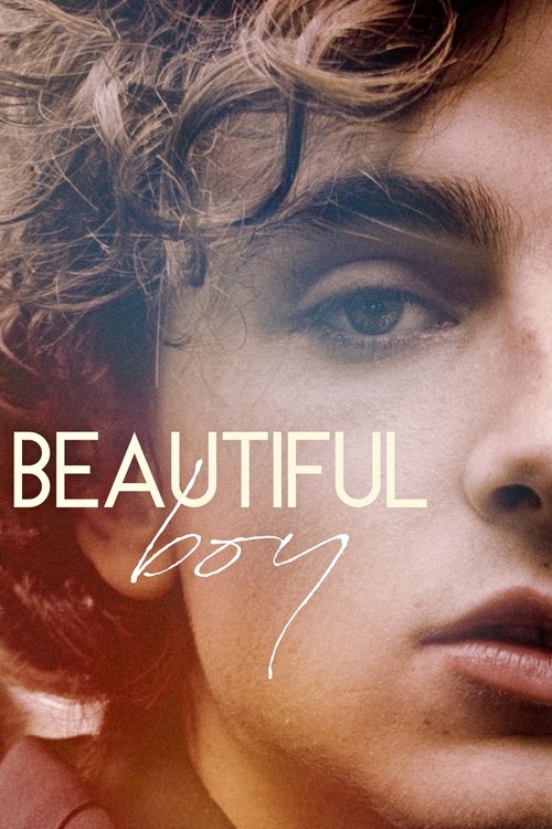 Beautiful Boy 2018