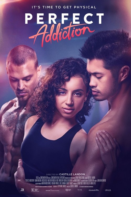 Perfect Addiction poster