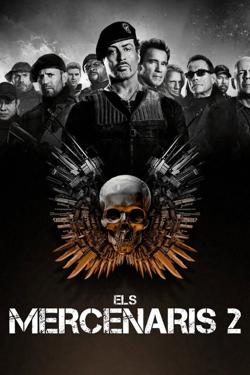 Cartell: Els mercenaris 2