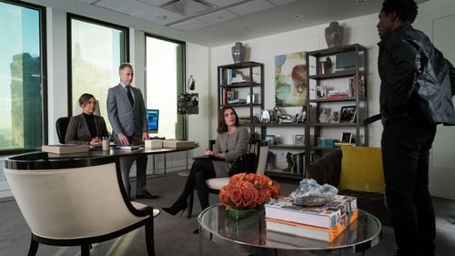 The Good Wife – Pelo Direito de Recomeçar: 7×8