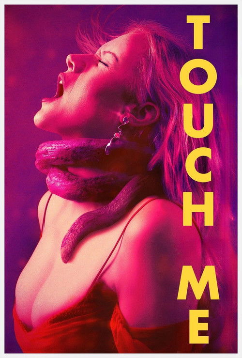 Touch Me poster