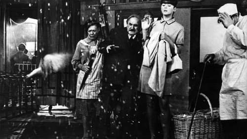 The Adventures of the Yellow Suitcase