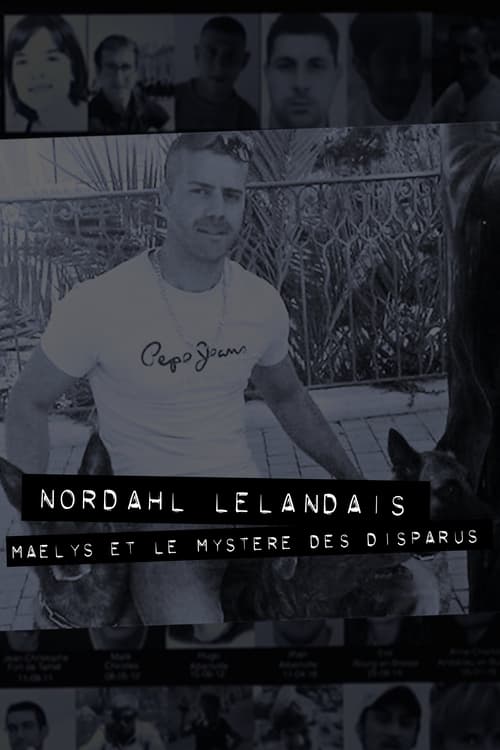 Poster Dans la tête de Nordahl Lelandais 2018