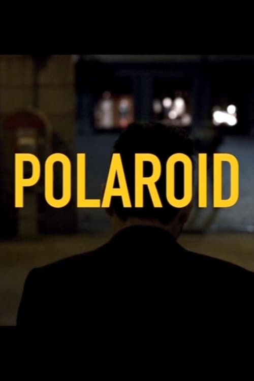 Polaroid (2014) poster