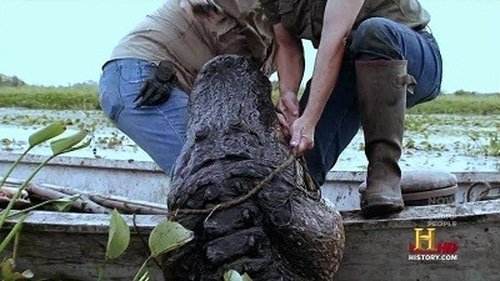 Poster della serie Swamp People