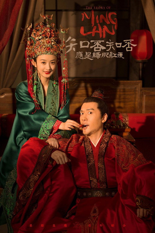 知否知否应是绿肥红瘦DVD版 - DİZİ Afişi