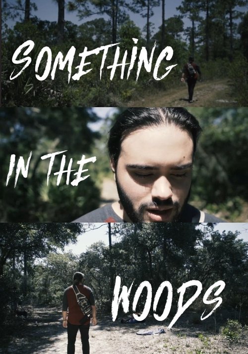 Something In The Woods movie poster player