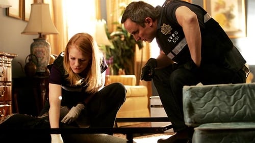 CSI: Crime Scene Investigation: 8×16