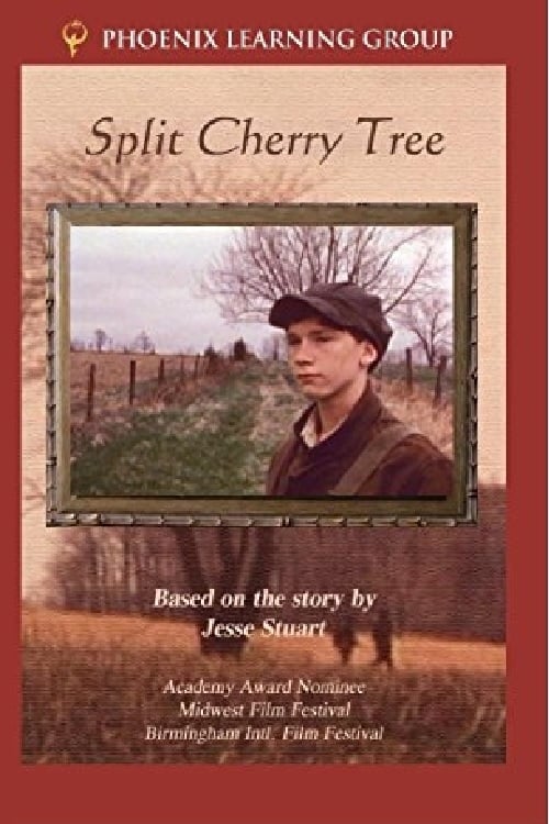 Split Cherry Tree (1982) poster