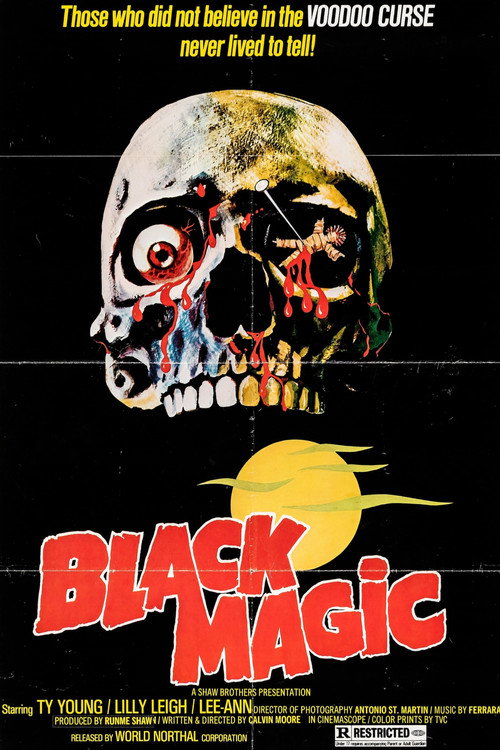 Black Magic poster