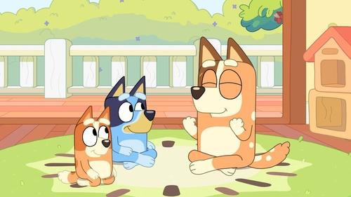 Bluey, S00E14 - (2021)