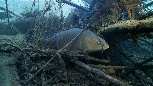 Image de l'épisode 2