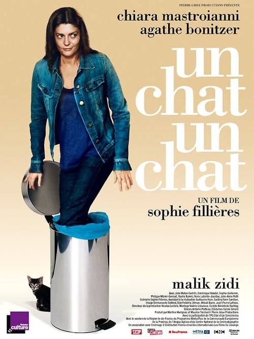 Un chat un chat poster