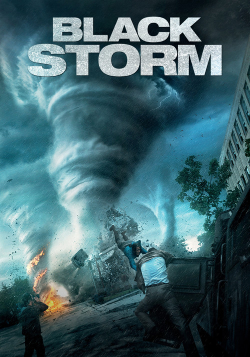 Into the Storm poster