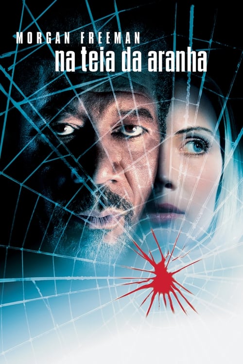 Poster do filme Along Came a Spider